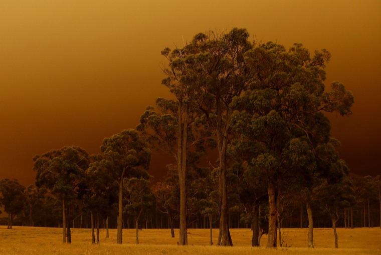 Evacuations Begin Following East Gippsland Bushfires