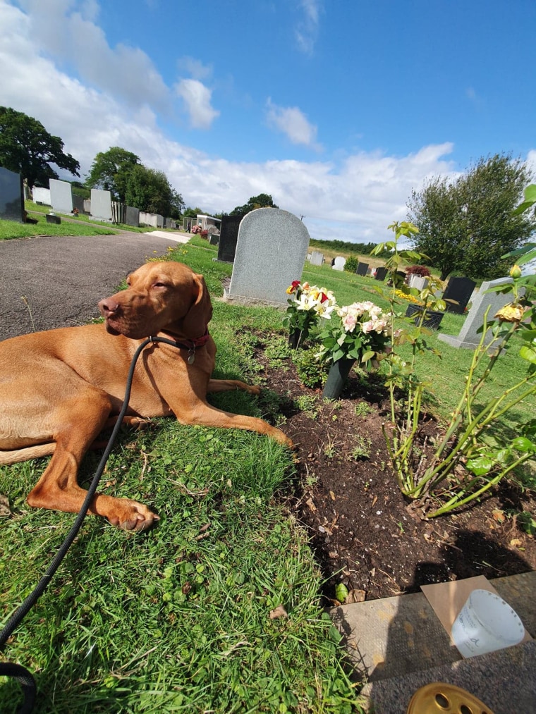 Mali is a high energy dog but when she joined Rob Osman on a visit to his father's grave, she seemed to know it was an emotional place and laid down to rest. 