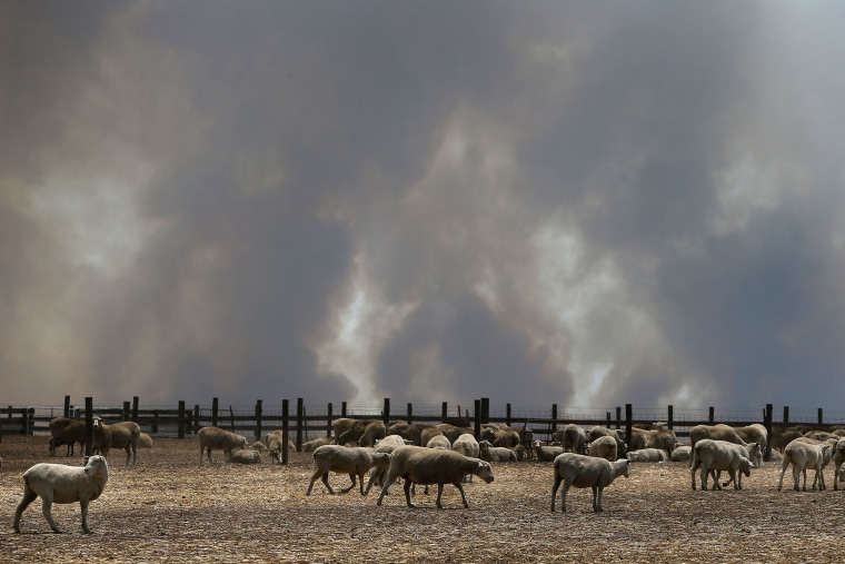 Image: *** BESTPIX *** Kangaroo Island Bushfire Threat Increases As Residents Are Told To Evacuate