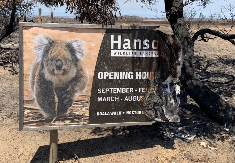 Imaage: Hanson Animal Sanctuary