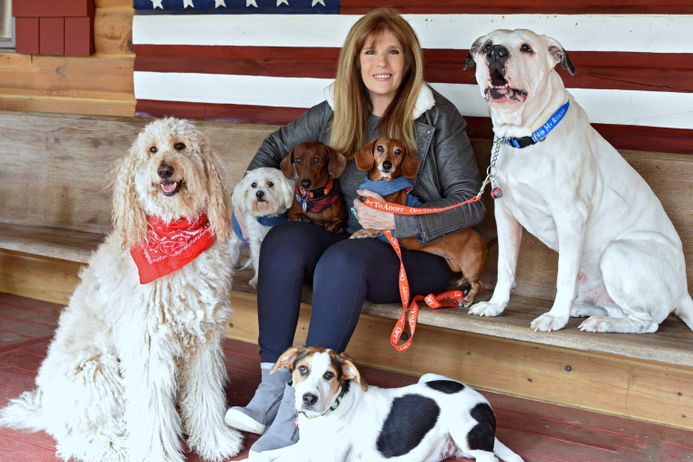 Jill Rappaport cuddles her six rescued dogs.