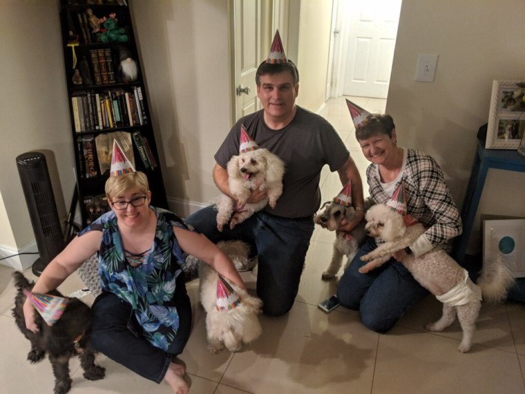 The Hoeckley family wears party hats with Karlie and other pet dogs.