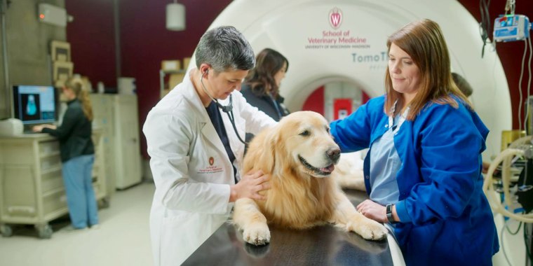 Scout at the University of Wisconsin School of Veterinary Medicine in WeatherTech's 2020 Super Bowl spot