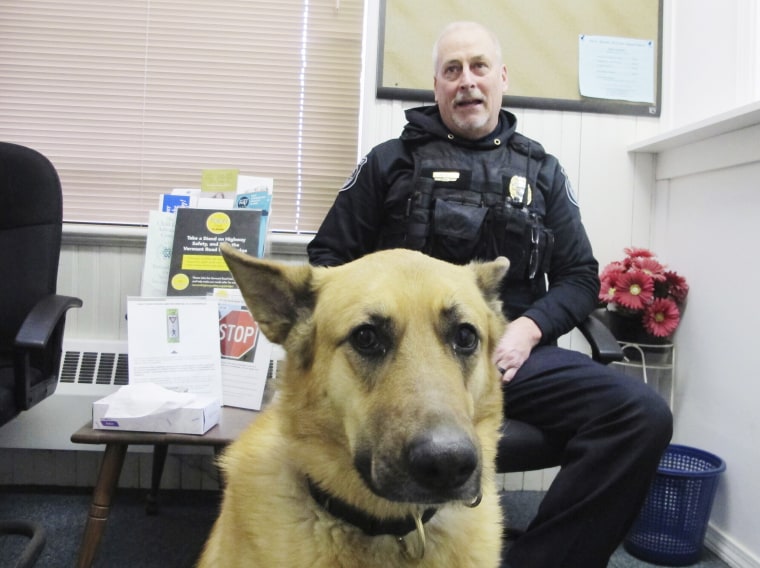 Image: Sammy, a police dog, sits in the lobby of the Fair Haven police station with Sergeant Dale Kerber