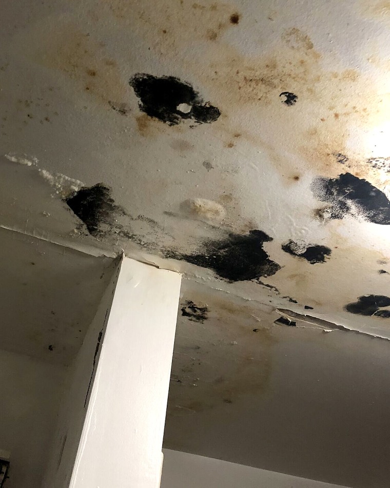 IMAGE: Mold in an apartment in the Clay Arsenal complex
