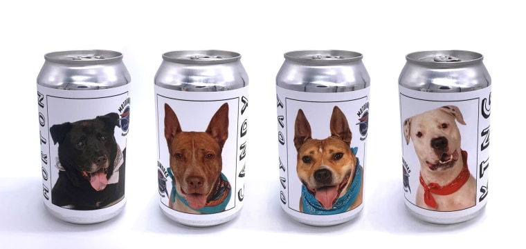Image: Beer Can Dog