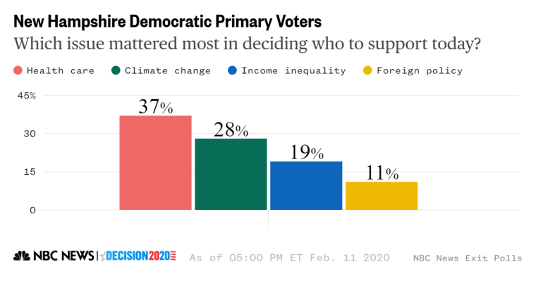 New Hampshire democratic primary issues