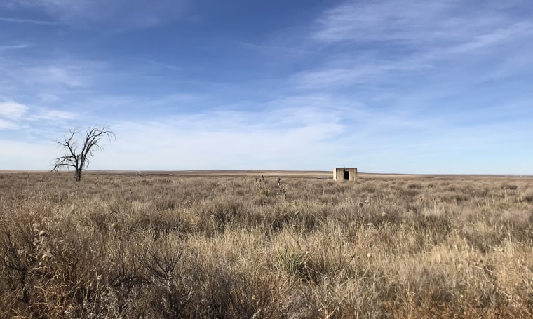 Without buildings or signs explaining the history of the site, the Colorado prison camp named Amache was forgotten with the passage of time. 