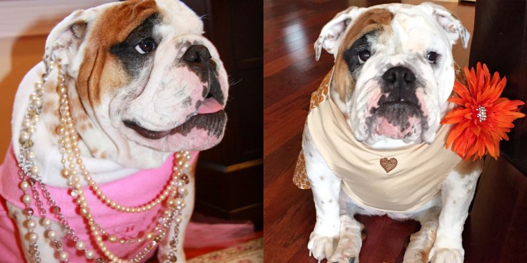Lola always stuns in her adorable outfits!