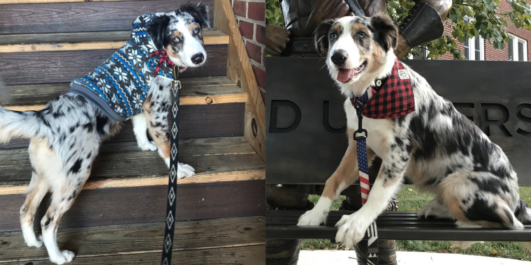 Max is a handsome boy who helped his mom get through school.