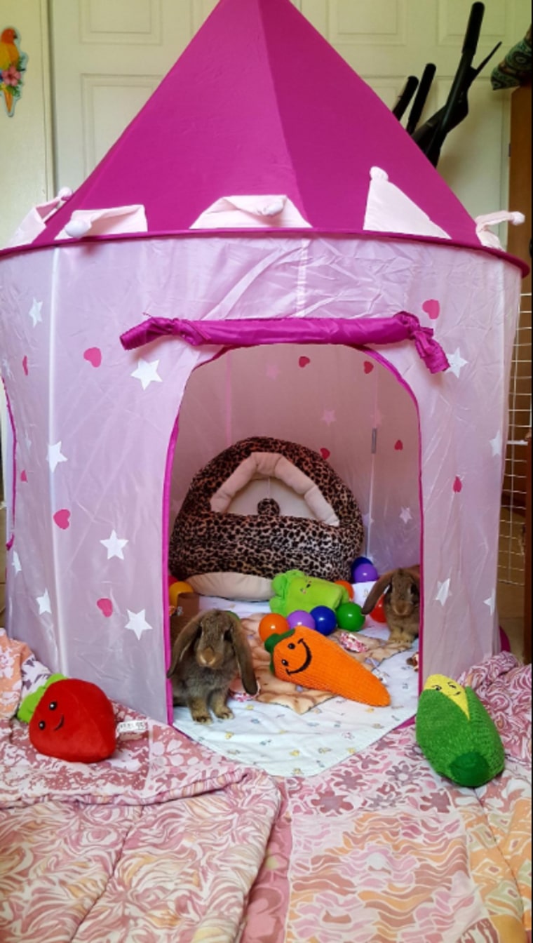 "Our house rabbits love their play tent," wrote a verified reviewer.