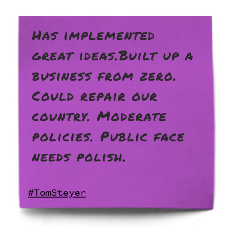 "Has implemented great ideas.Built up a business from zero. Could repair our country. Moderate policies. Public face needs polish."