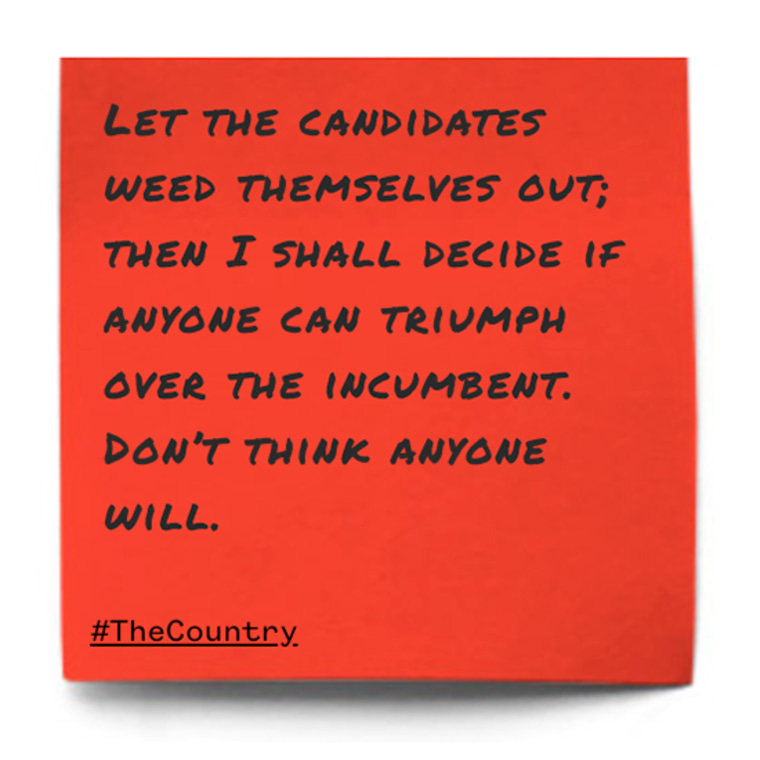 Let the candidates weed themselves out; then I shall decide if anyone can triumph over the incumbent. Don't think anyone will.