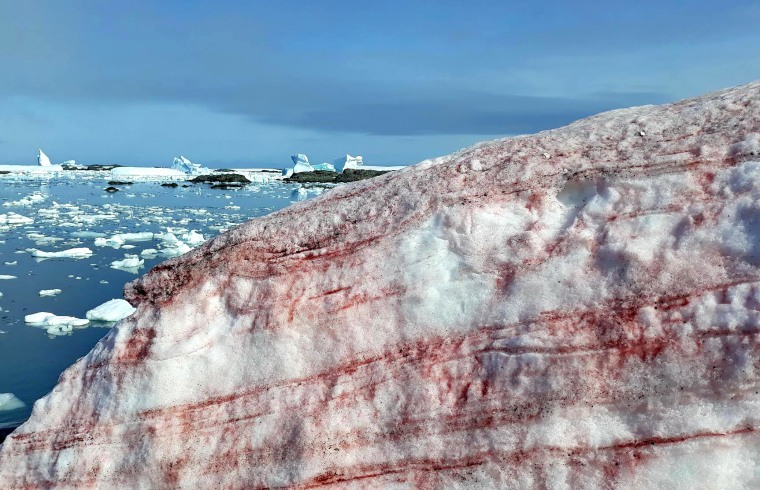 The ice around Ukraine's Vernadsky Research Base, located on Galindez Island, off the coast of Antarctica.