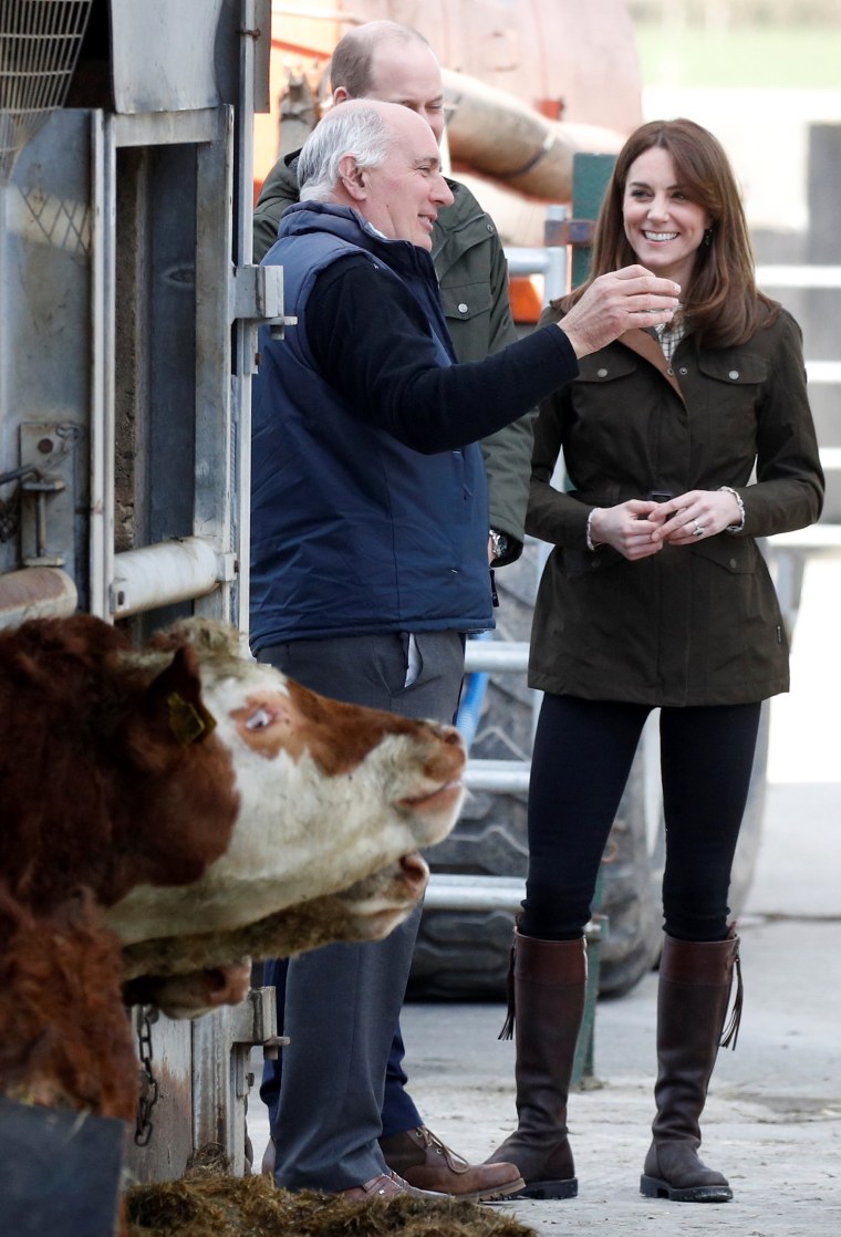 Image: Britain's Prince William and Catherine visit Ireland