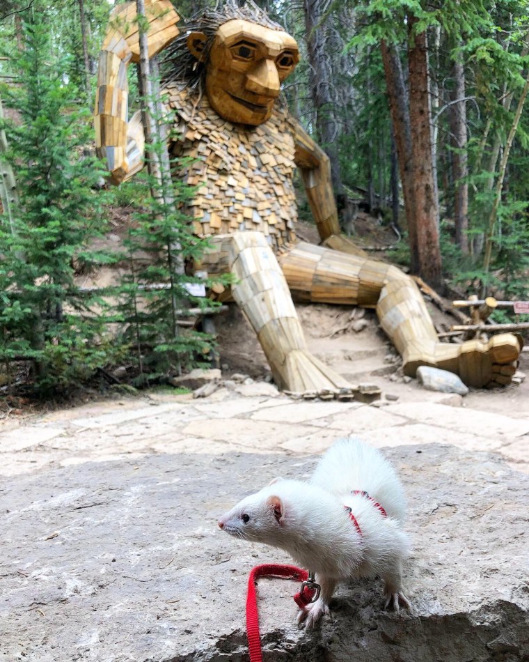 Oliver the Hiking Ferret and the Breckenridge Troll.