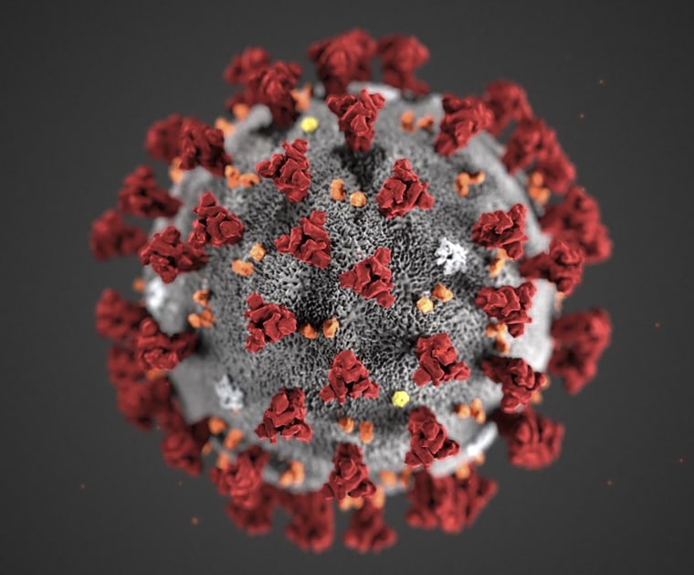 Image: Ultrastructural morphology exhibited by coronaviruses.