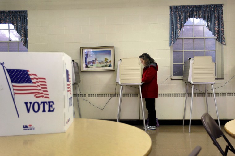 Image: Voting in Michigan