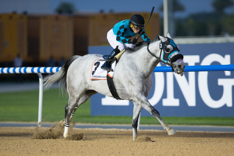 Image: X Y Jet wins the Dubai Golden Shaheen at Meydan Racecourse, UAE