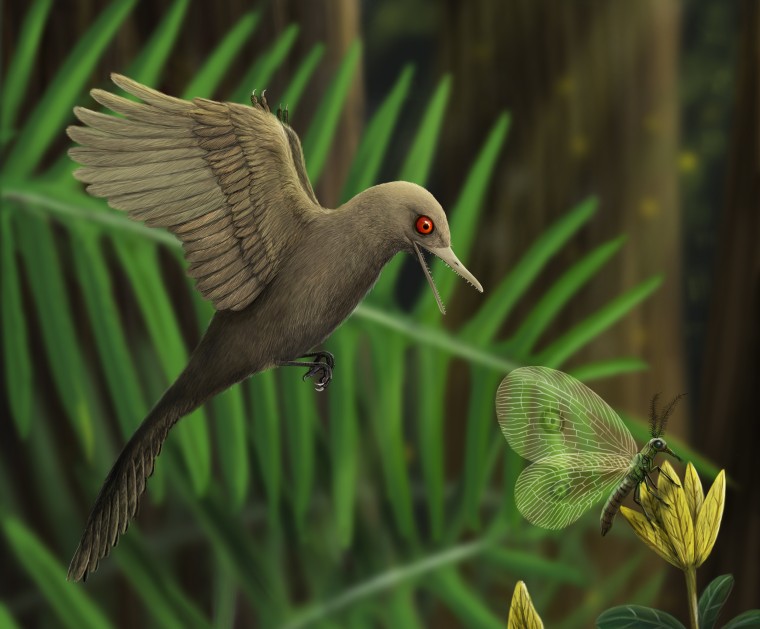 An artistic rendering of Oculudentavis imagining what it looked like preying on an insect.