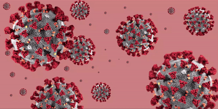 Image: Coronavirus
