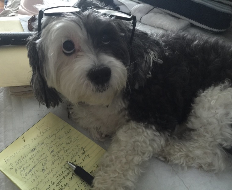 A dog poses as a writer wearing glasses.