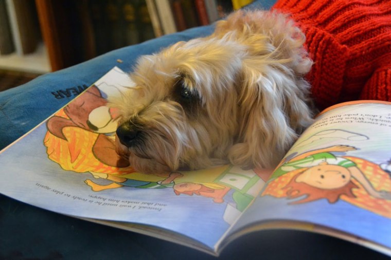 A dog rests on a picture book.