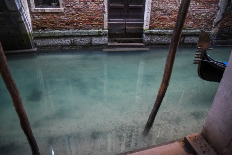 Image: Clearer waters in a Venice canal on Tuesday as a result of no motorboat traffic.