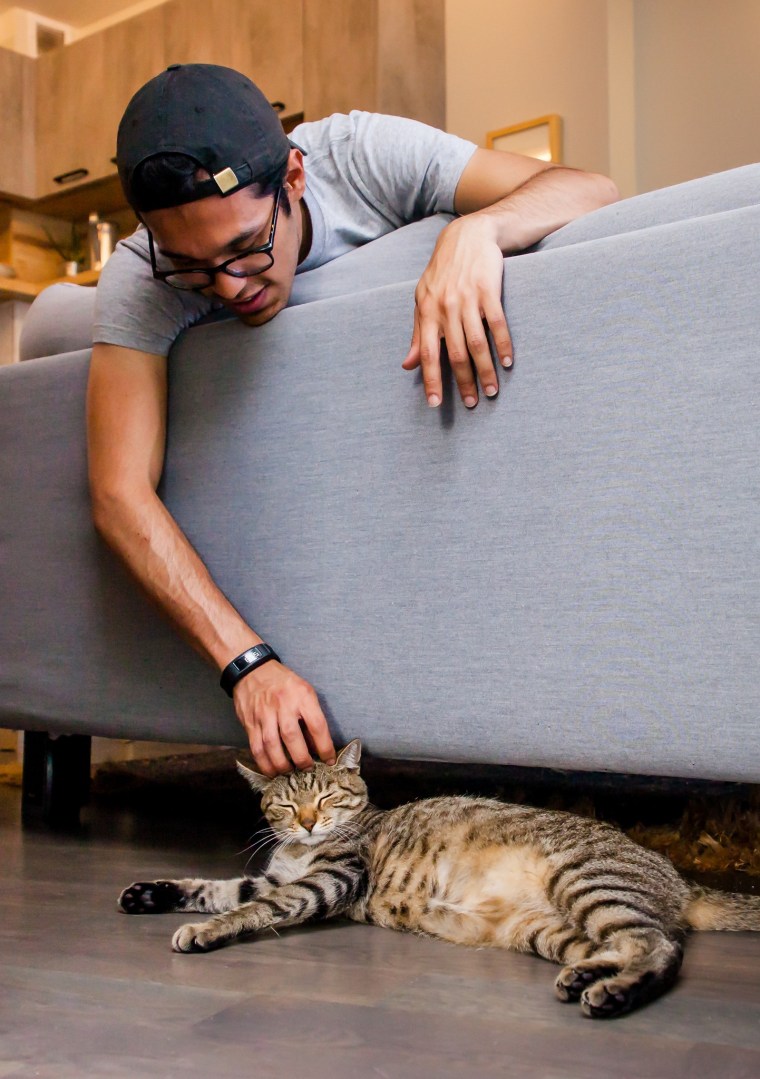 A man pets a cat