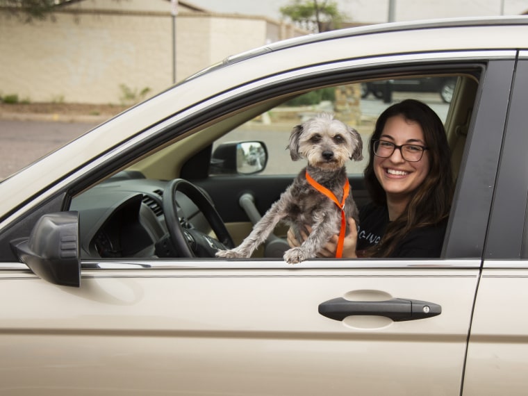 Woman in a car holds a gray dog.