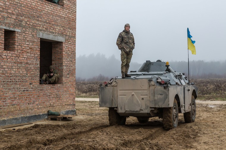 Image: A Ukrainian soldier