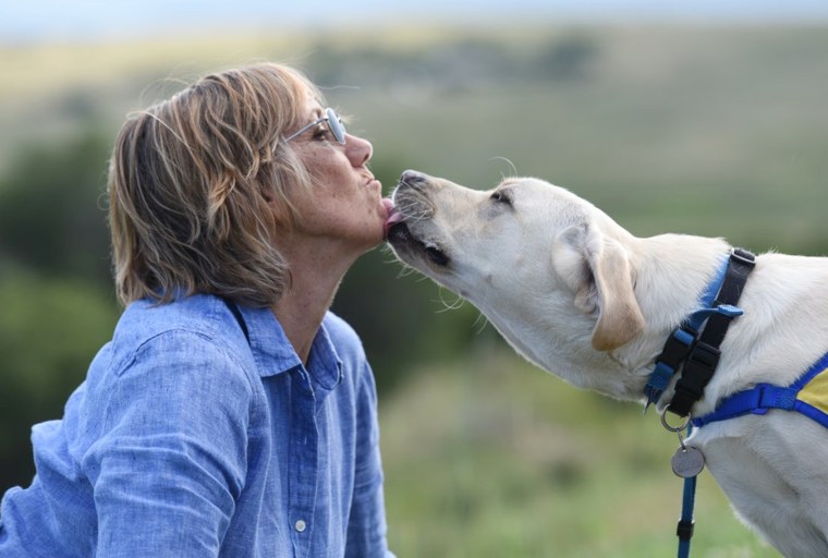 Having Wynn, a service dog to be, helps Dr. Susan Ryan feel grounded as treating patients during the COVID-19 pandemic can be overwhelming. 