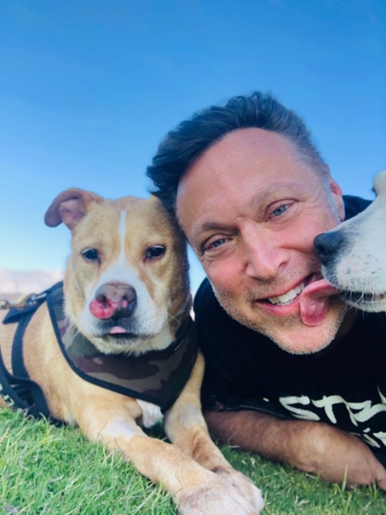 A man smiles with a pit bull while getting kissed by another dog.