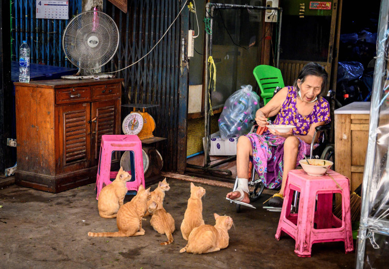 Image: A woman eats her lunch at home in front of a litter of cats in Bangkok