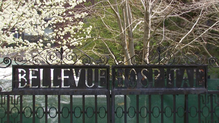 Image: Bellevue Hospital gate