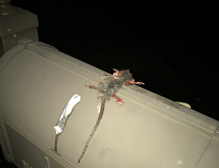 IMAGE: A rat used as a threat