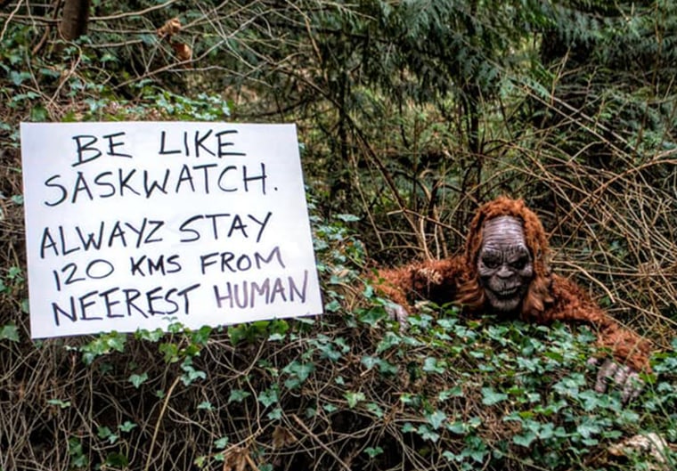Todd Cameron recently dressed as Sasquatch to encourage social distancing and make his friends laugh at his pictures. 