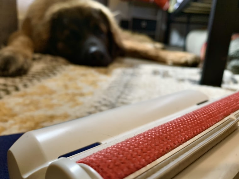 ChomChom Roller: The ultimate lint roller for pet hair - TODAY