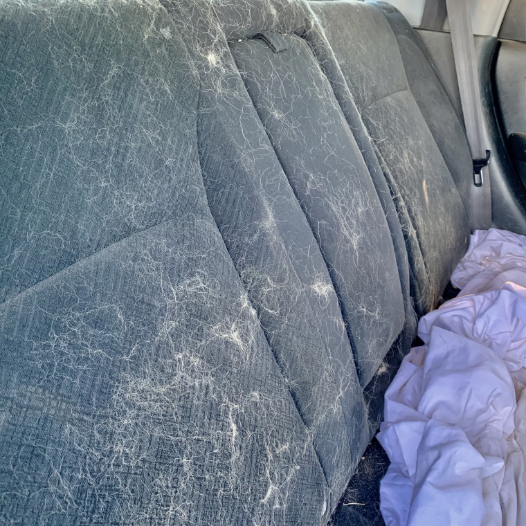 My car seats, covered in dog hair