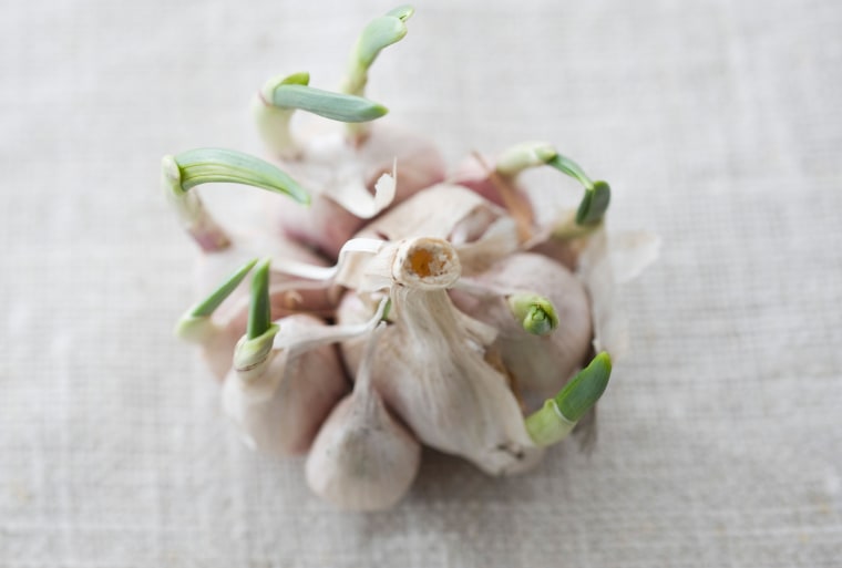 Turns out those little green things that sprout out of your garlic aren't bad after all!