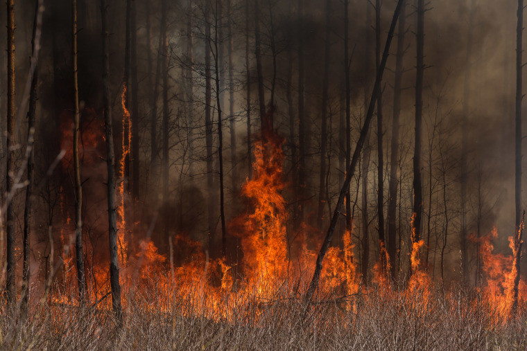 Image: A forest fire burns near Krasiatychi town, Kyiv region, Ukraine on April 12, 2020.