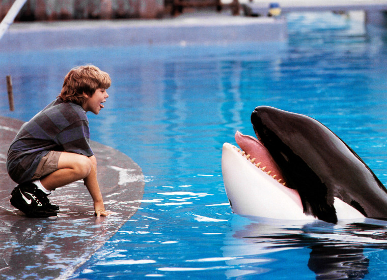 FREE WILLY, from left: Jason James Richter, Keiko 1993. (C)Warner Brothers/courtesy Everett Collection