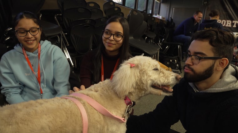 Therapy dog Barbie visits with students at Freeport High School.