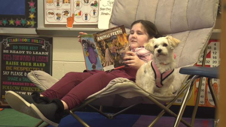 Therapy dog Pumpkin sits with a student at Fort Salonga Elementary School for reading time.