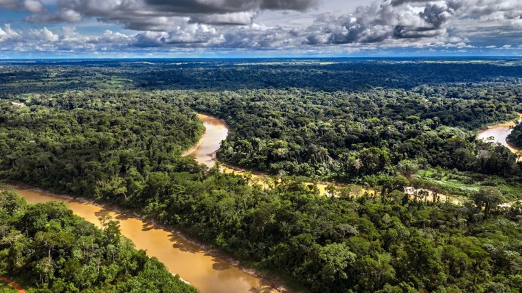 Image: The home of the Dois Irmaos community, in Chico Mendes Extractive Reserve, Acre state, Brazil.