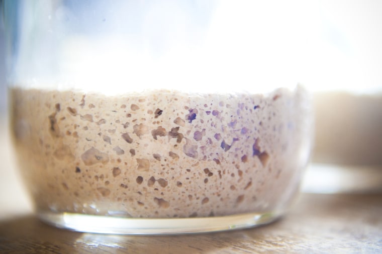 sourdough starter