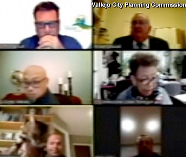 Image: Chris Platzer, bottom left, shows his pet cat before throwing it during a Vallejo City Planning Commission Zoom meeting on April 20, 2020.