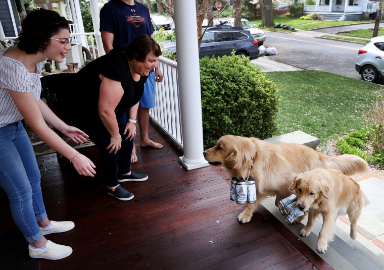 Image: Golden retrievers Buddy and Barley deliver beer to Lisa Fascilla and her children in Huntington Village, N.Y., on Sunday. The two dogs were trained to deliver beer by owners Mark and Karen Heuwetter, who own the Six Harbors Brewery, to help practic