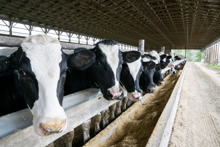 Image: USDA Boosts Effort To Support Virus-Hit Meat
