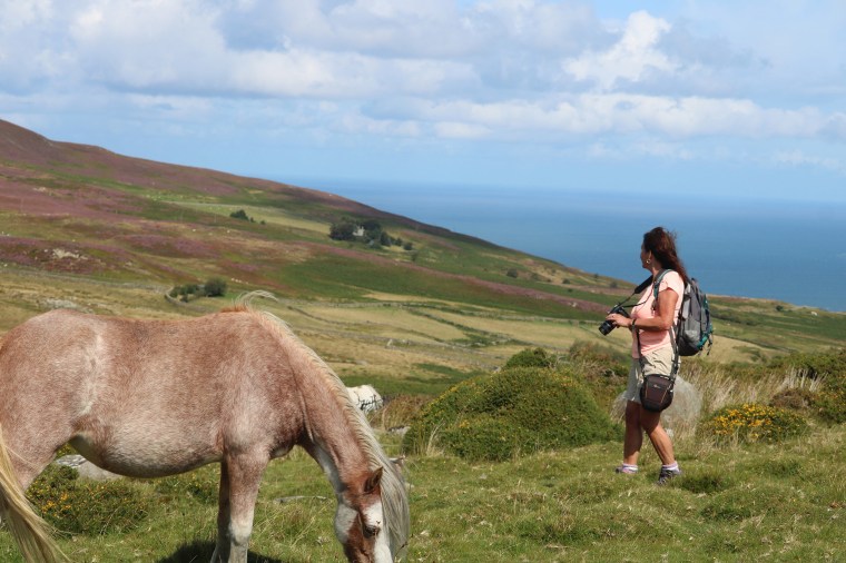 Image: Wild ponies in the Carneddau mountains in Wales on May 3, 2020.
